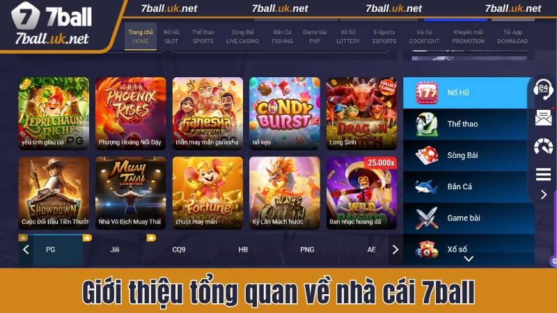 gioi-thieu-tong-quan-ve-7ball