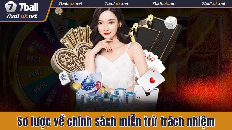 Sơ lược một số thông tin về chính sách miễn trừ trách nhiệm